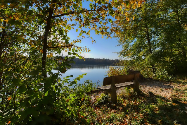 未来几个月 未来几个月