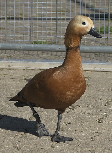场上表现