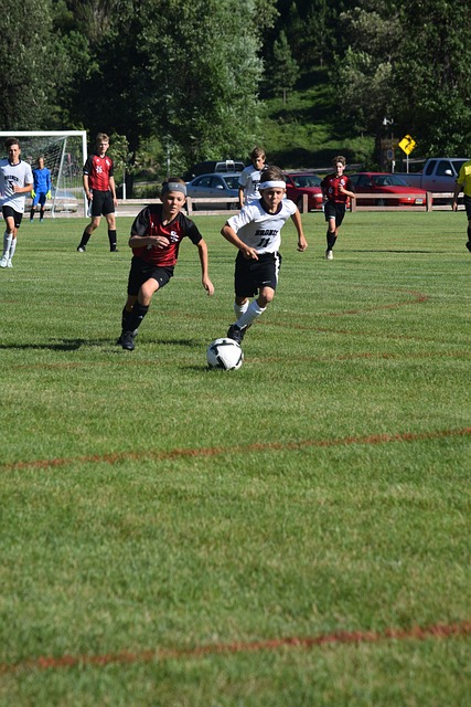 供专业参赛 供专业参赛