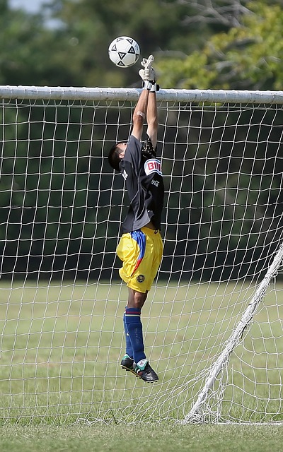 以及年轻核 以及年轻核